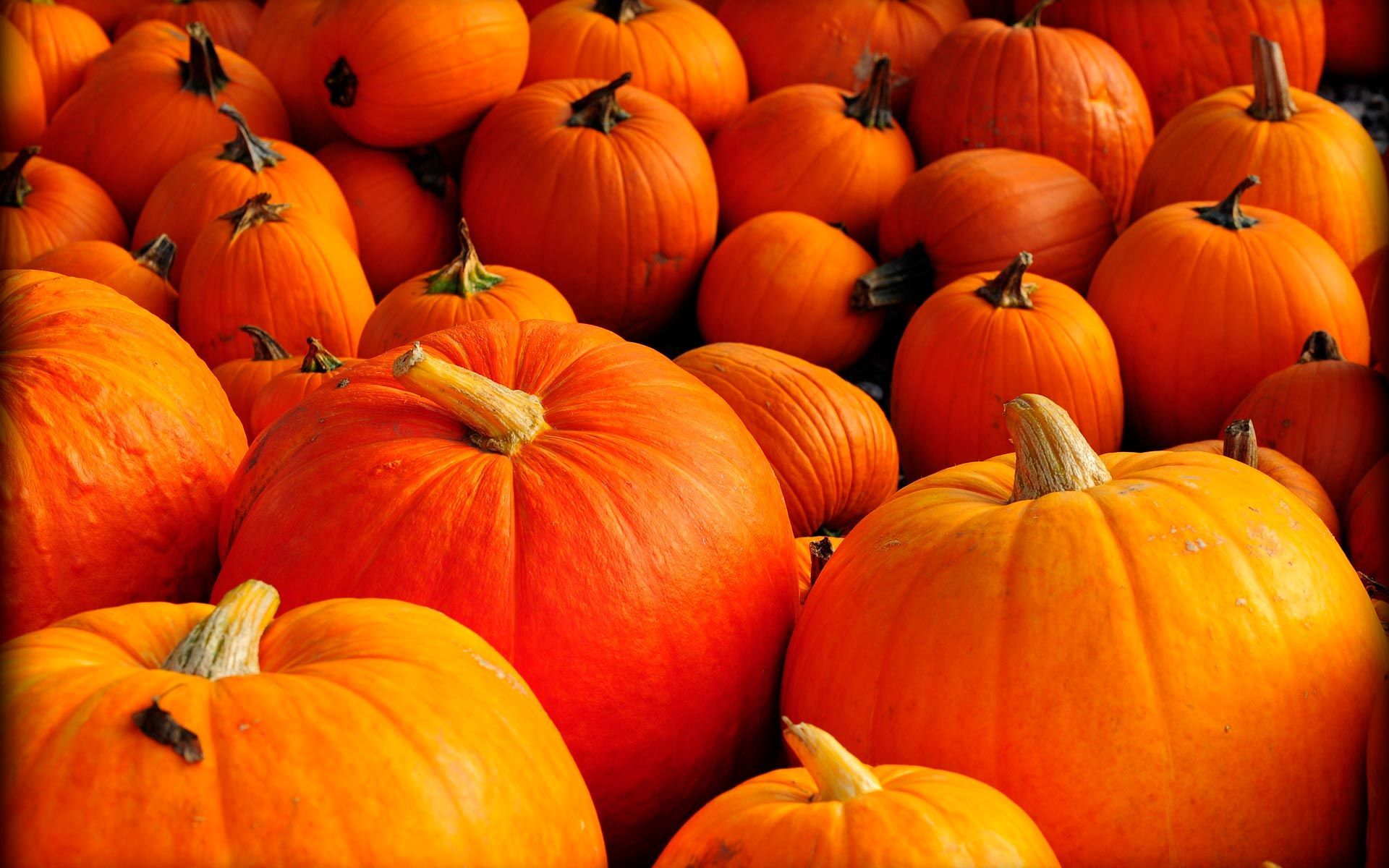 Carve Some Fun Into Fall
